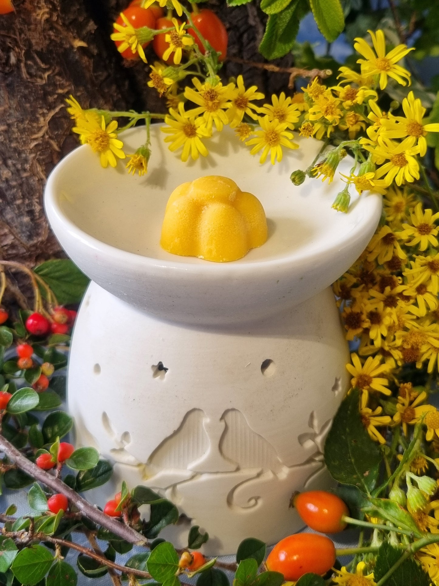 Jolly Juicy Orange Wax Melts - Coming Soon!