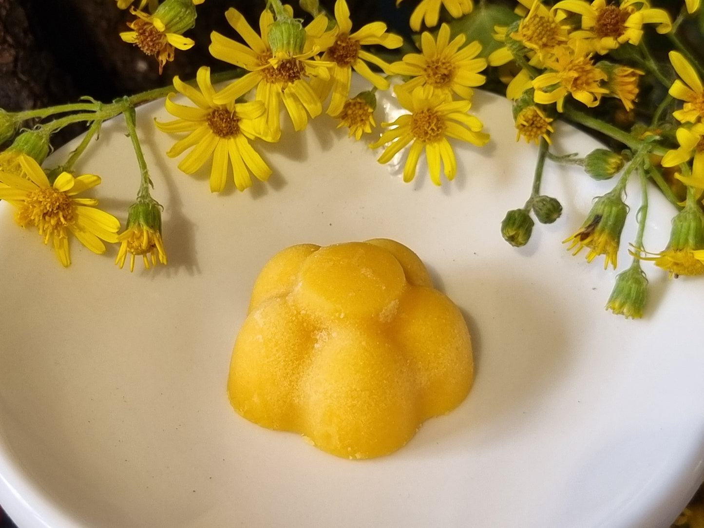 Jolly Juicy Orange Wax Melts - Coming Soon!