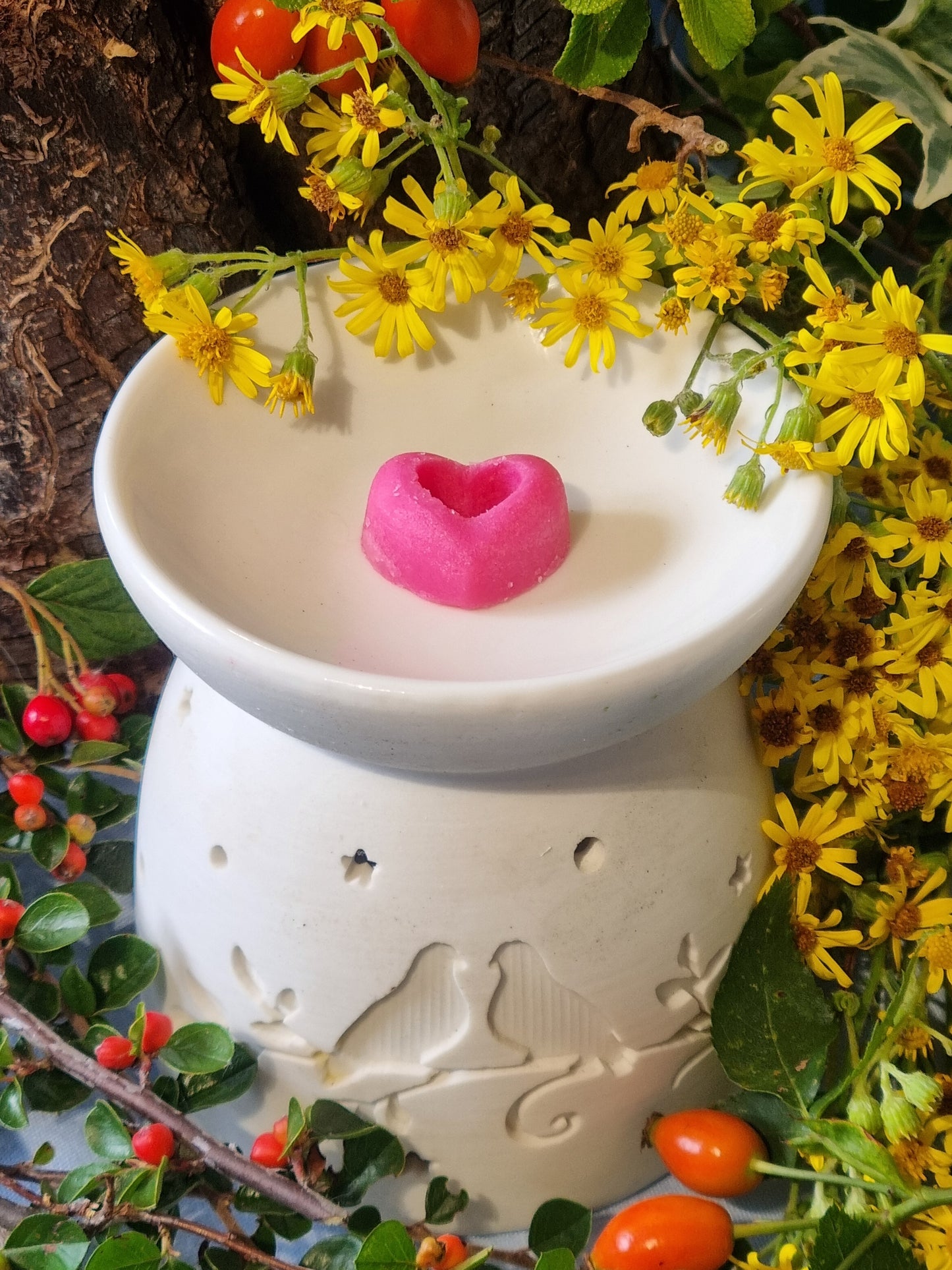 Ravishing Raspberry Wax Melts - Coming Soon!