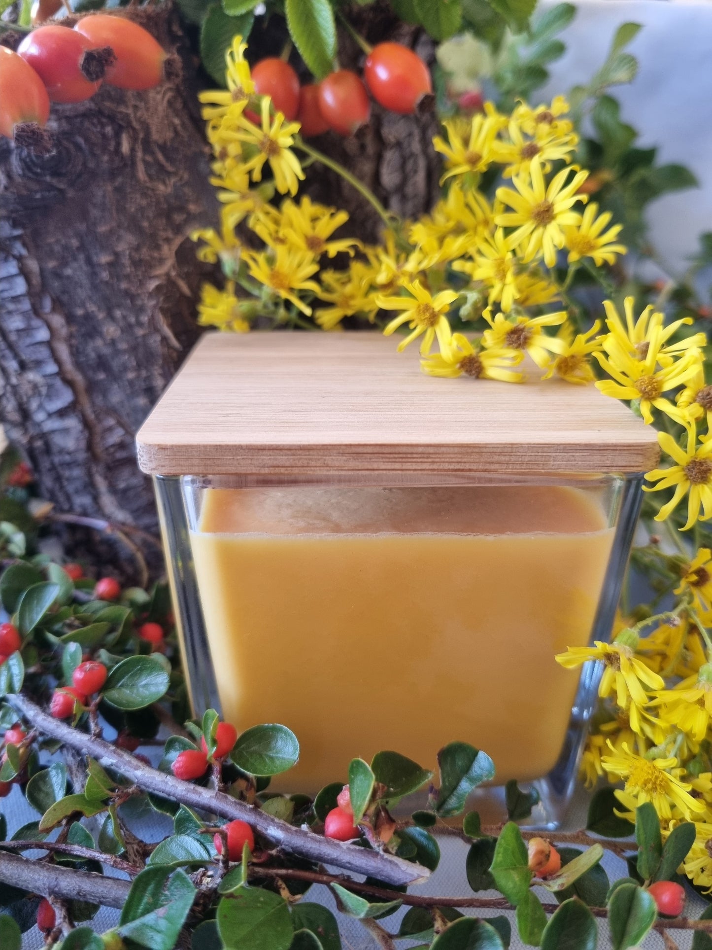 Jolly Juicy Orange Candle