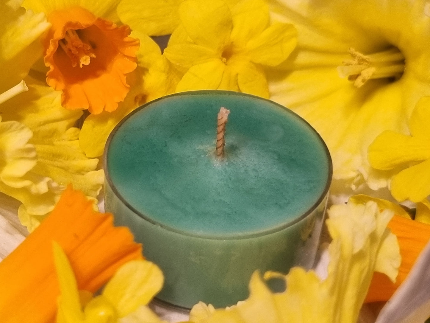 Timeless Tea Tree Tea Light Box