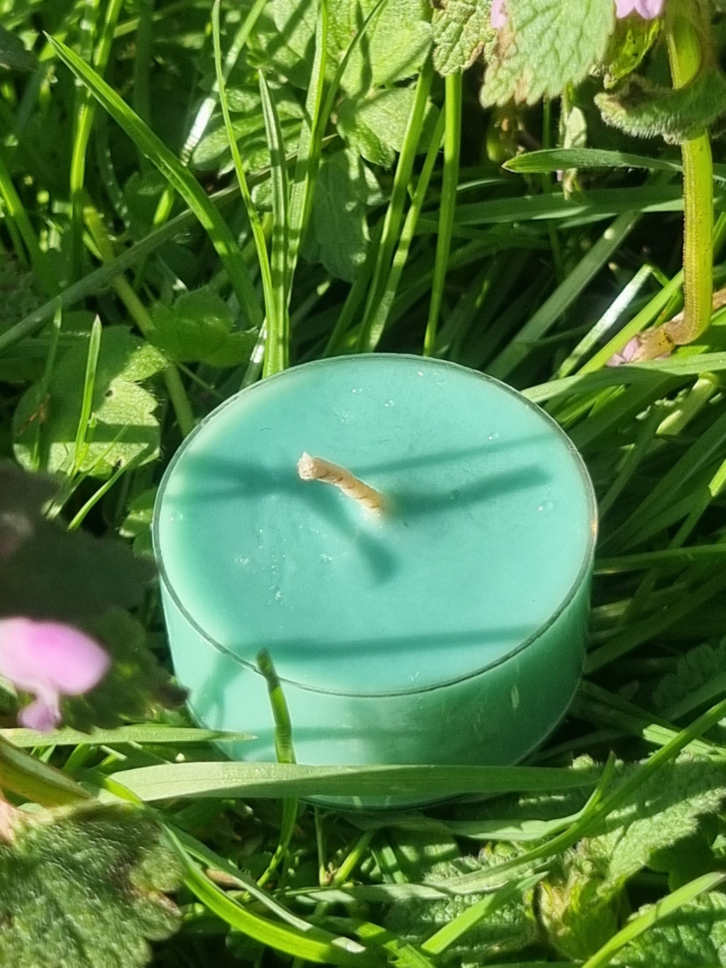 Luscious Lawn Tea Light Box
