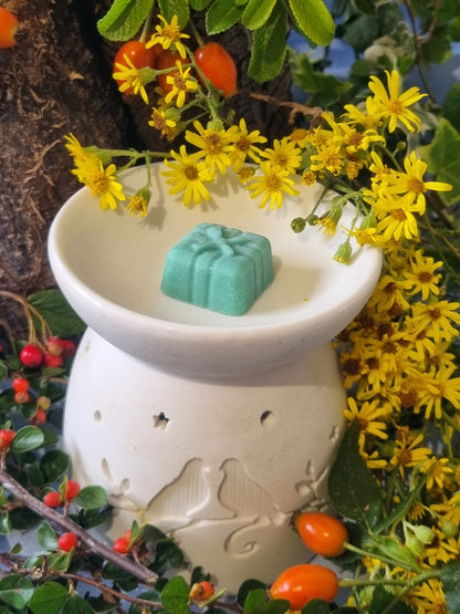 Timeless Tea Tree Wax Melts - Coming Soon!