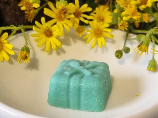 Timeless Tea Tree Wax Melts - Coming Soon!