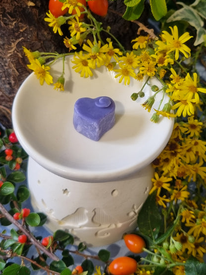 Lambent French Lavender Wax Melts - Coming Soon!
