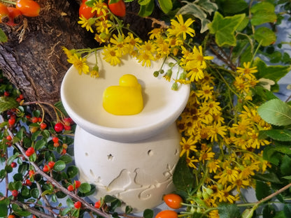 Mango Delight Wax Melts - Coming Soon!