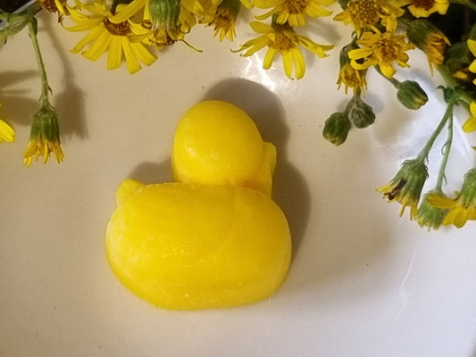 Mango Delight Wax Melts - Coming Soon!