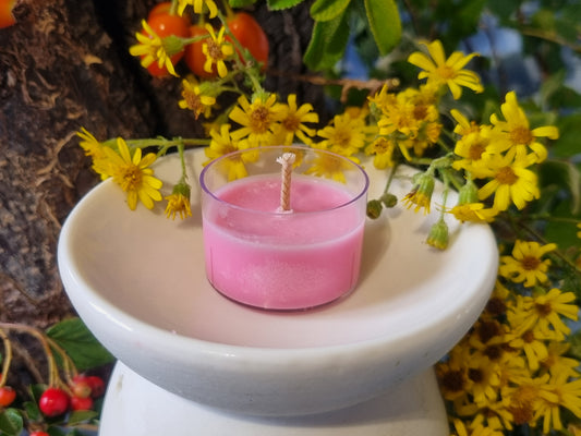 Pretty Pink Simplici-Tea Lights