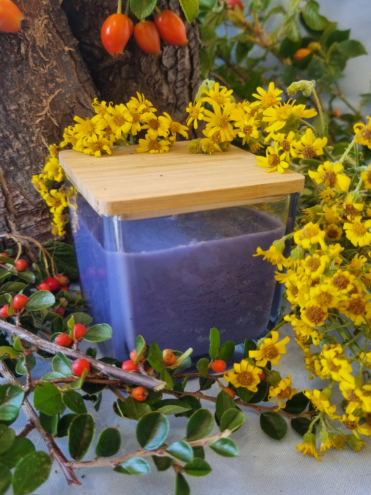Lambent French Lavender Candle