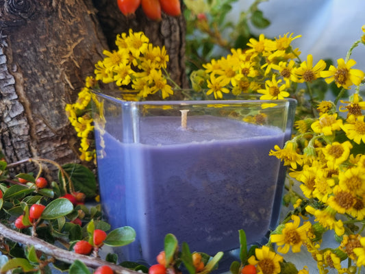 Lambent French Lavender Candle