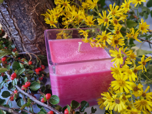 Ravishing Raspberry Candle