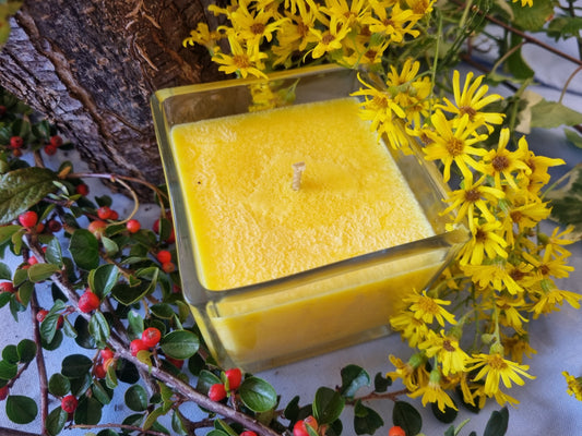 Mango Delight Candle