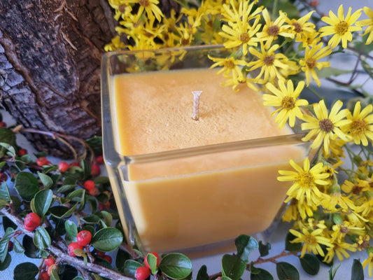 Jolly Juicy Orange Candle