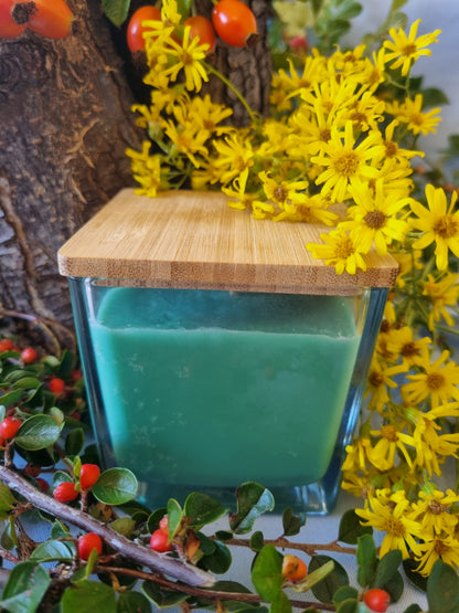 Timeless Tea Tree Candle