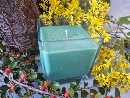 Timeless Tea Tree Candle