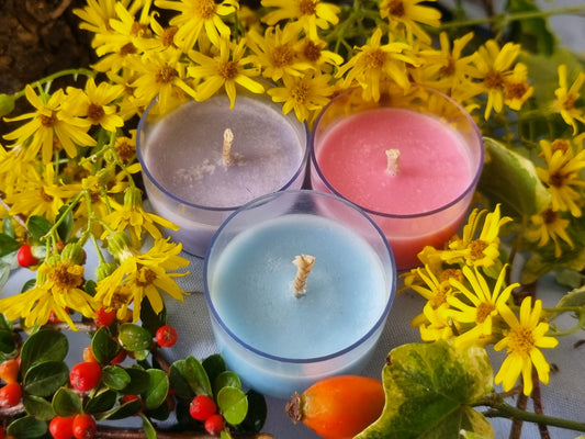 Simplici-Tea Lights - Sherbet Medley