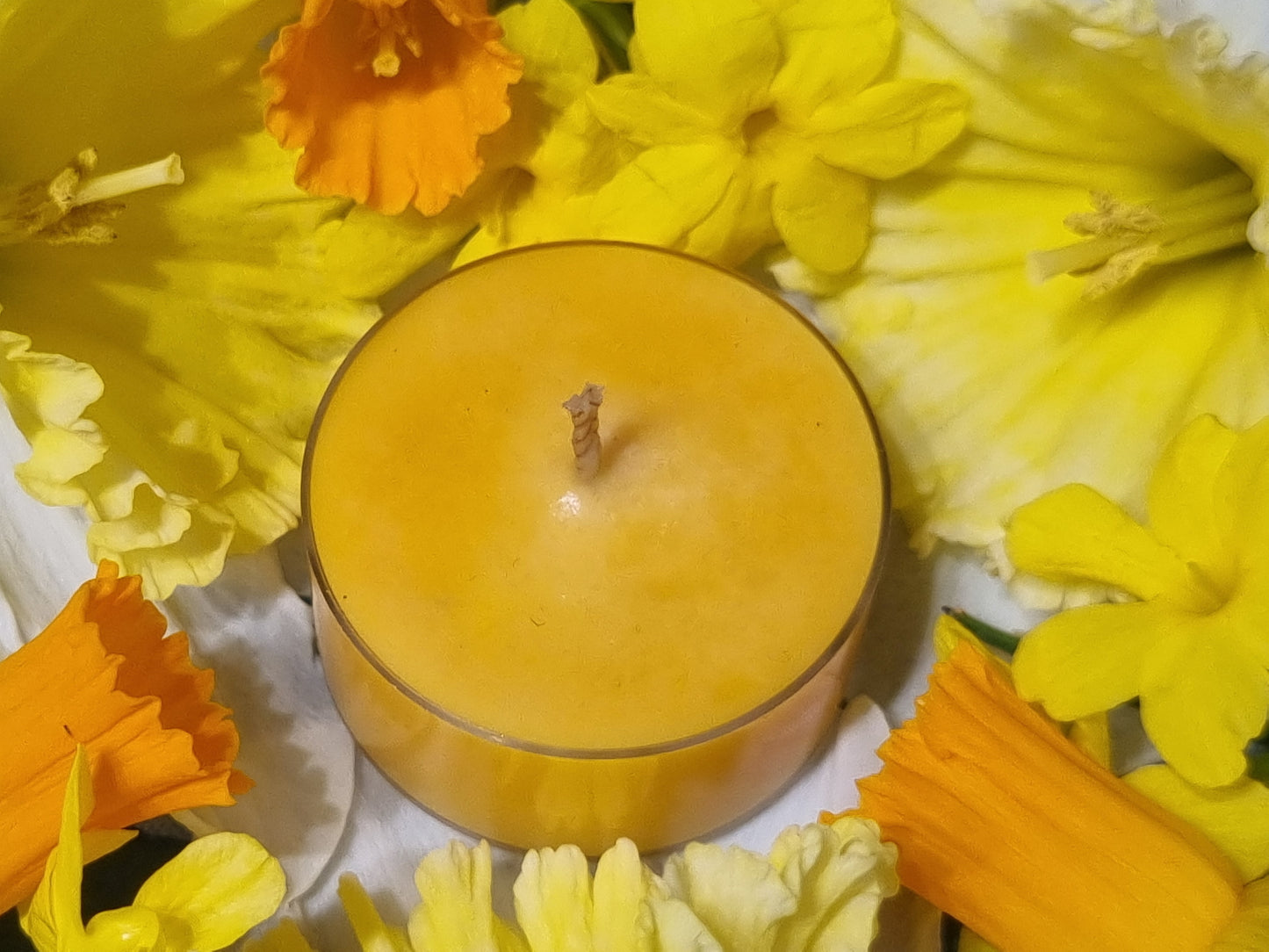 Jolly Juicy Orange Tea Light Box