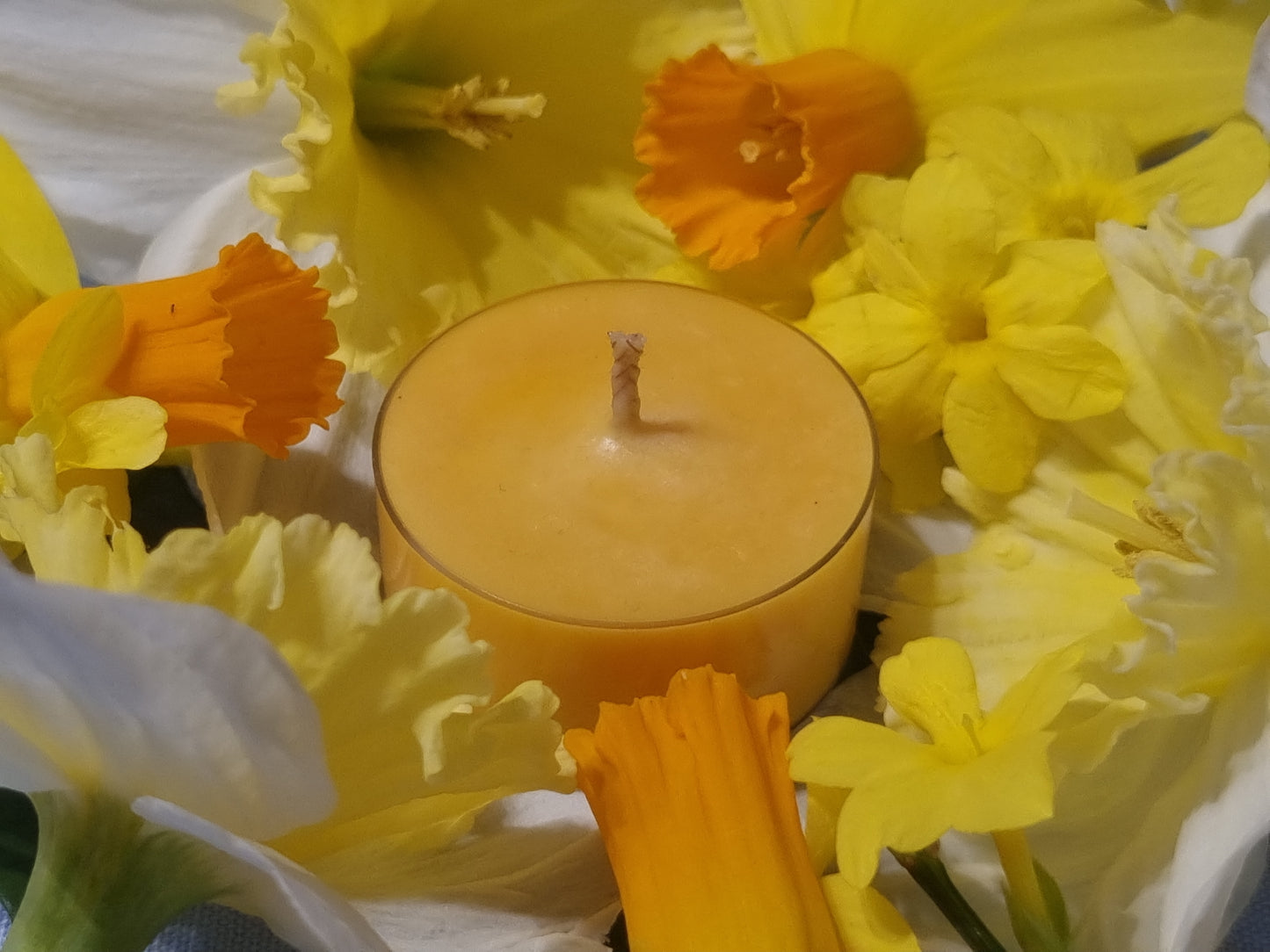 Jolly Juicy Orange Tea Light Box