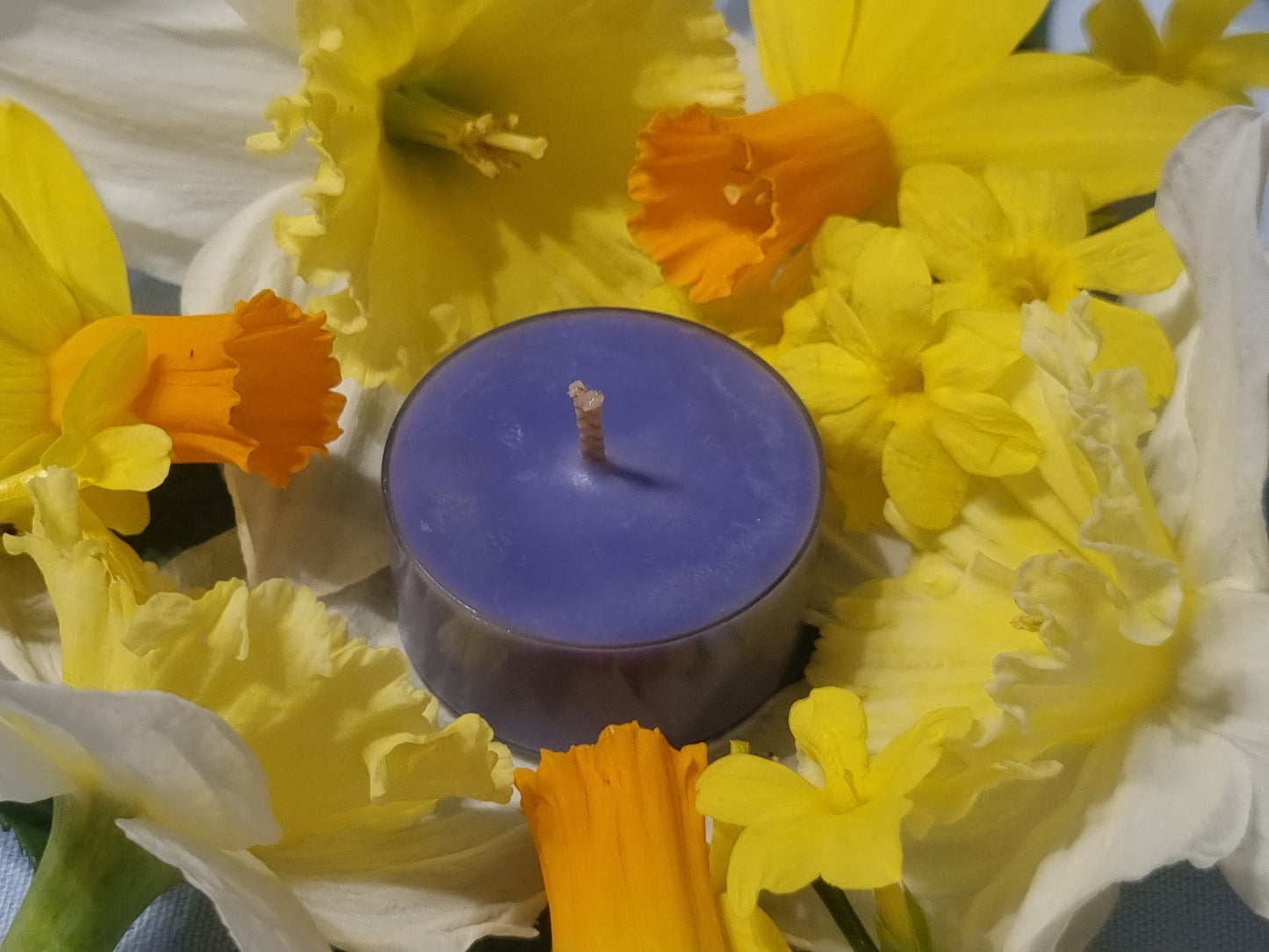Lambent French Lavender Tea Light Box