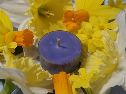 Lambent French Lavender Tea Light Box