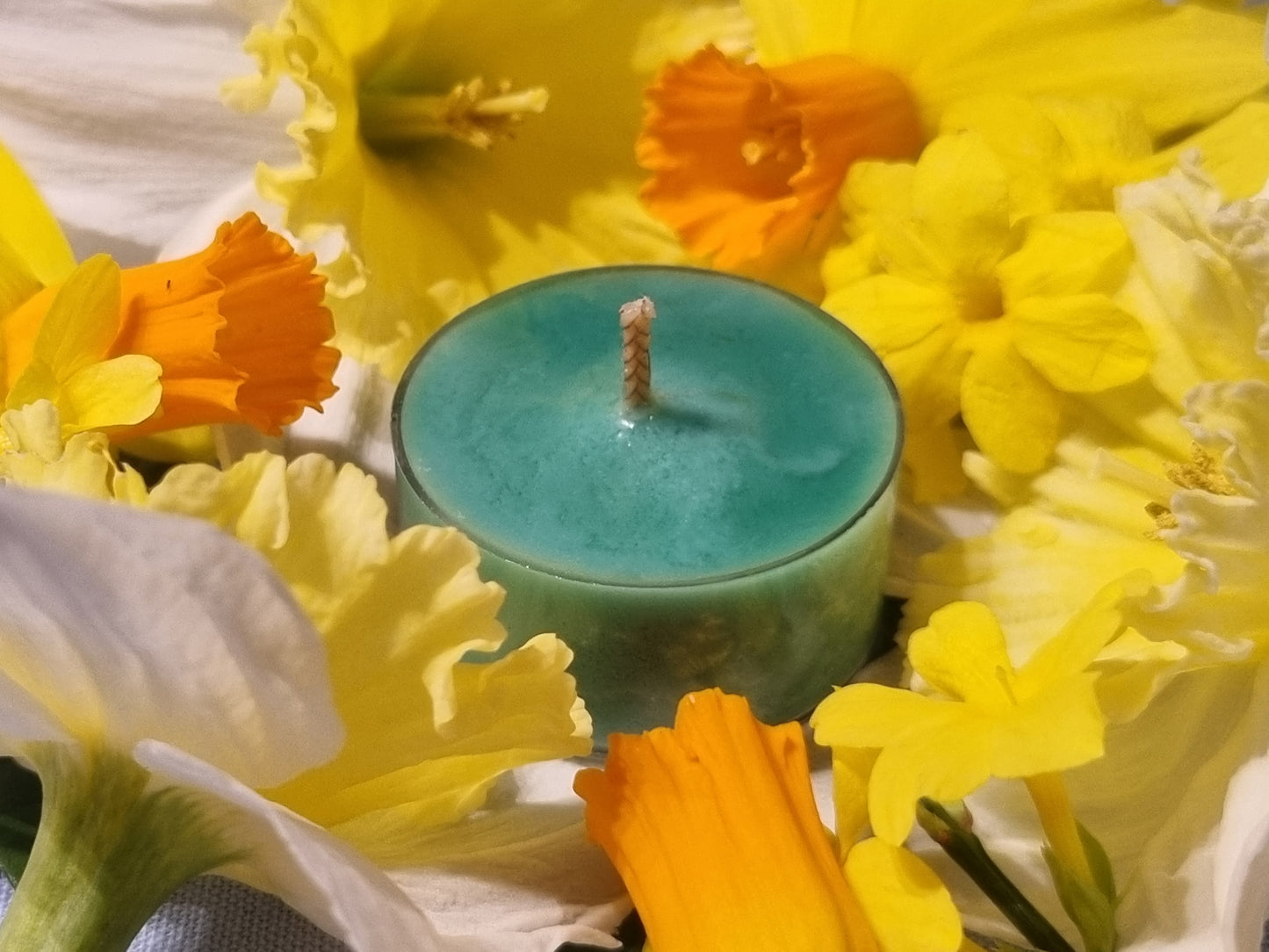 Timeless Tea Tree Tea Light Box