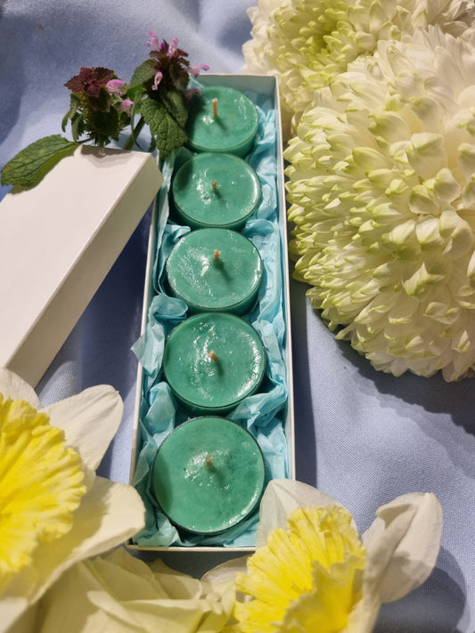 Timeless Tea Tree Tea Light Box