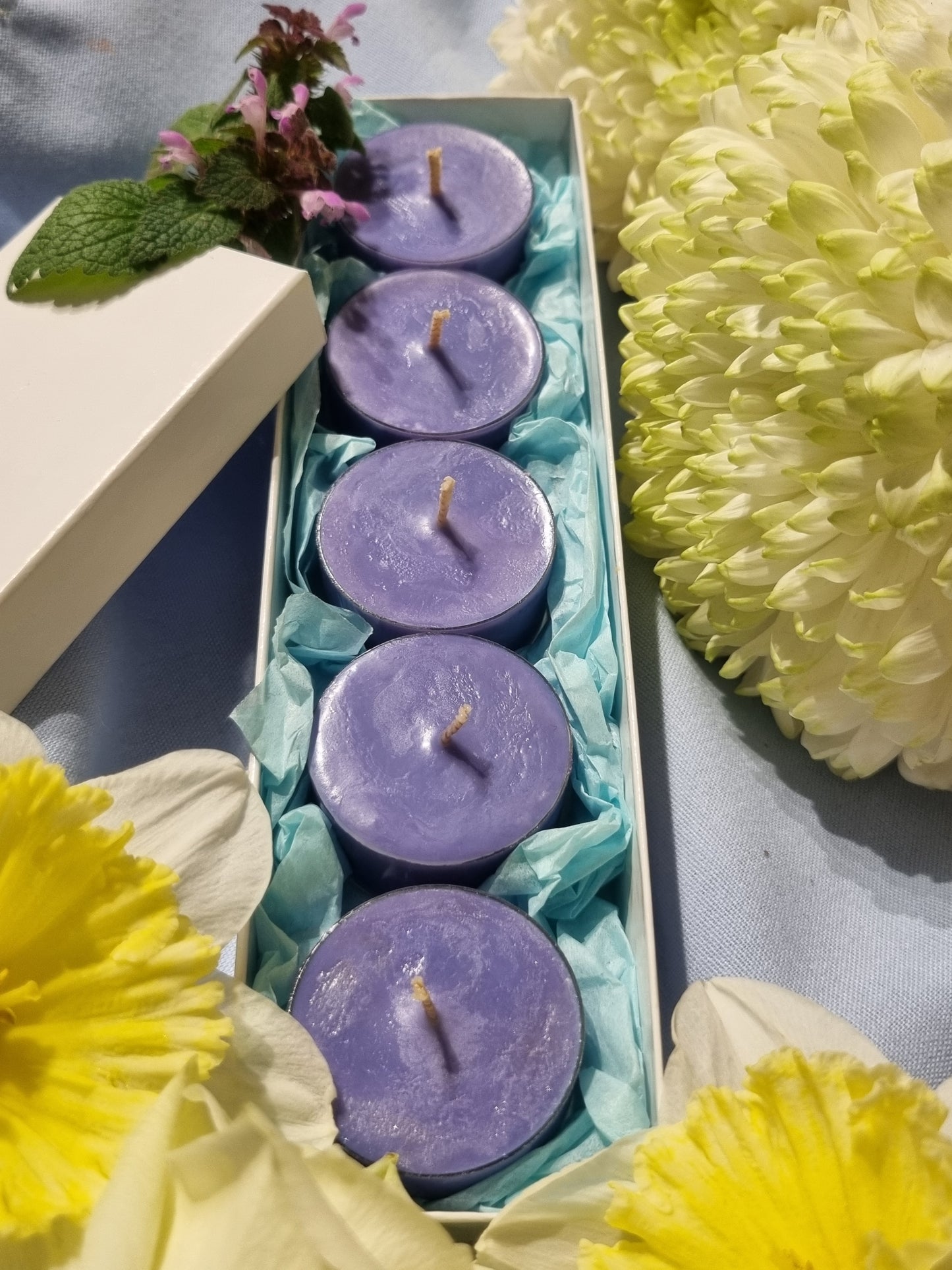Lambent French Lavender Tea Light Box
