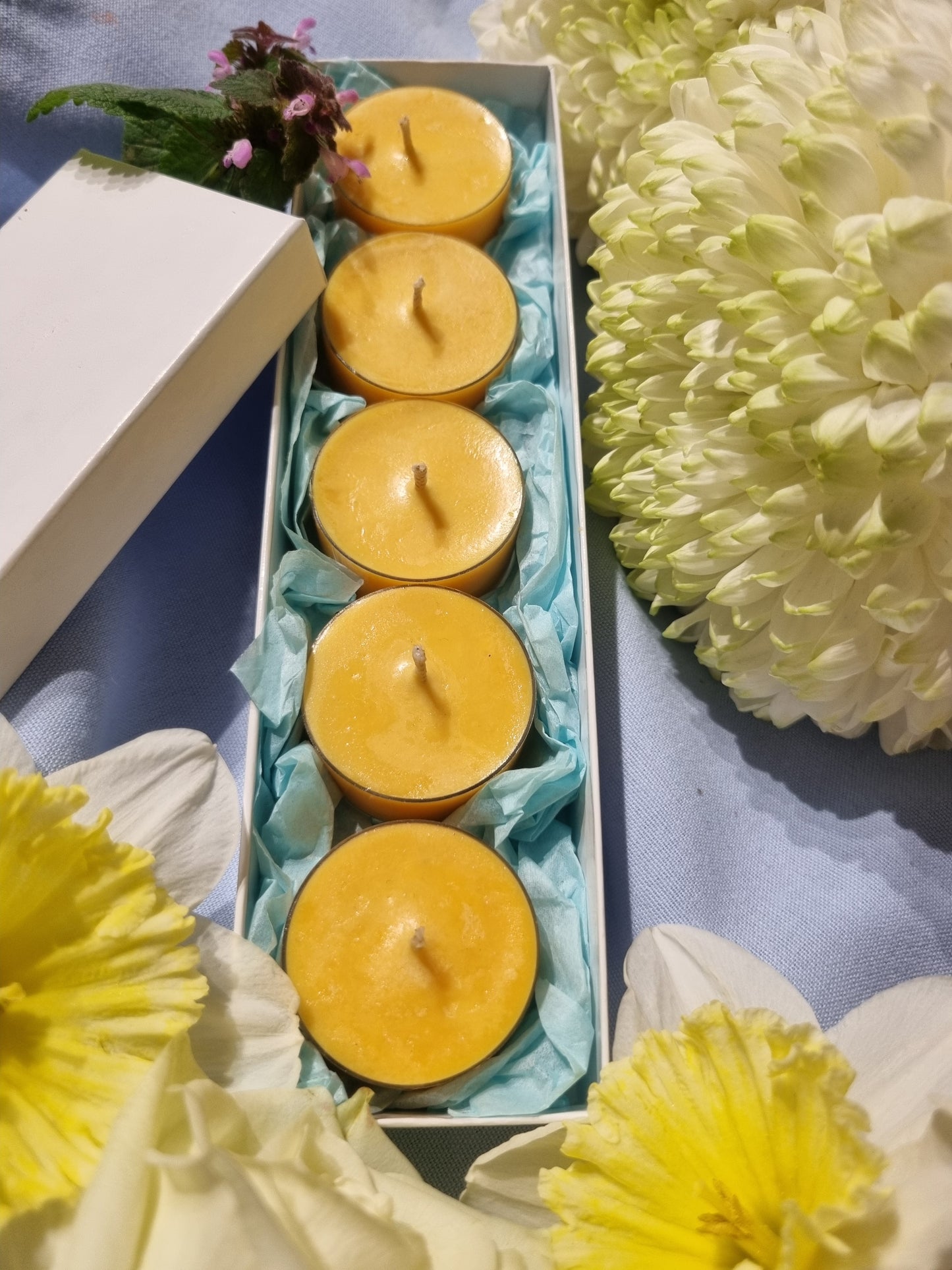 Jolly Juicy Orange Tea Light Box