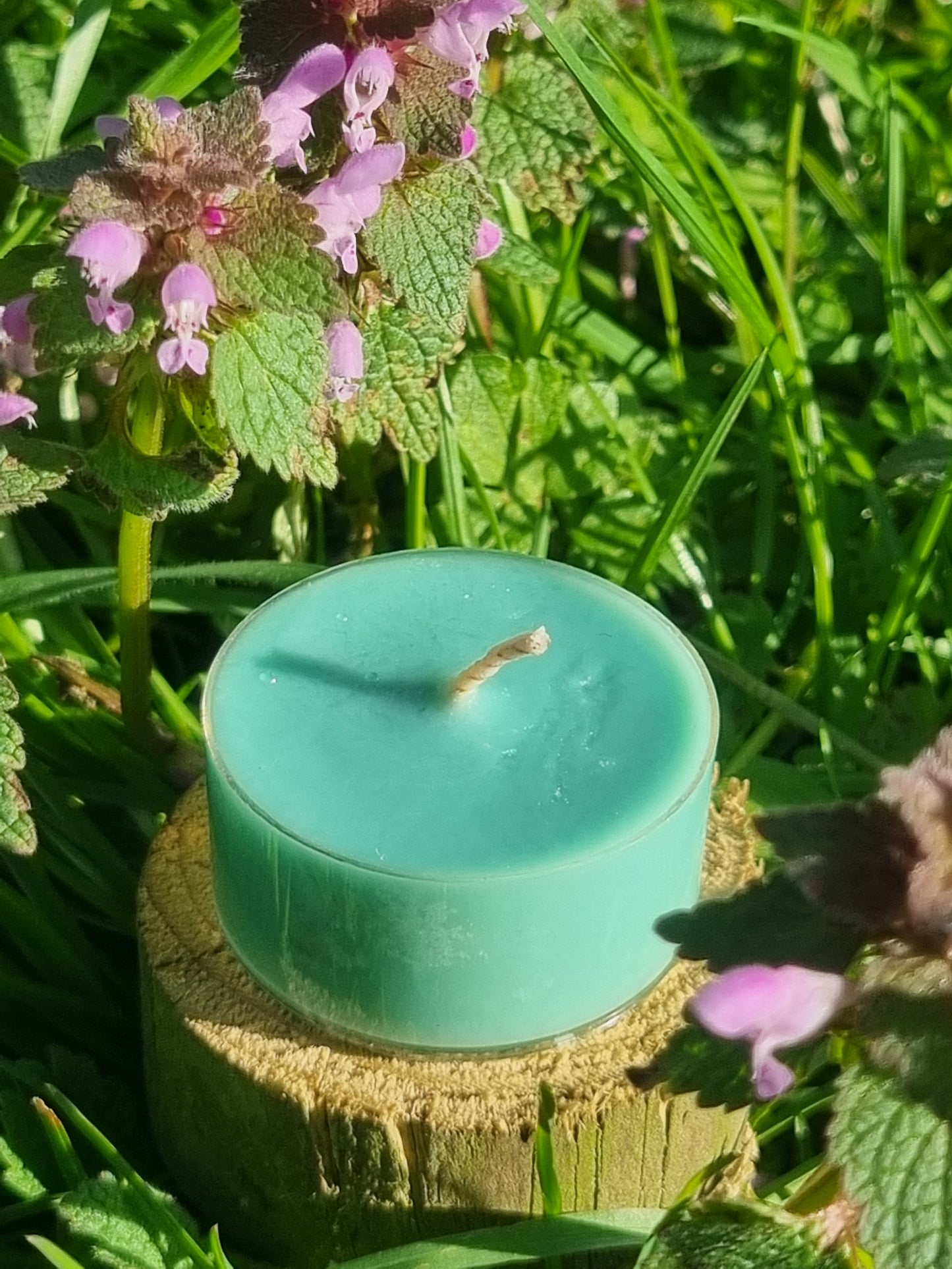 Luscious Lawn Tea Light Gift Bag