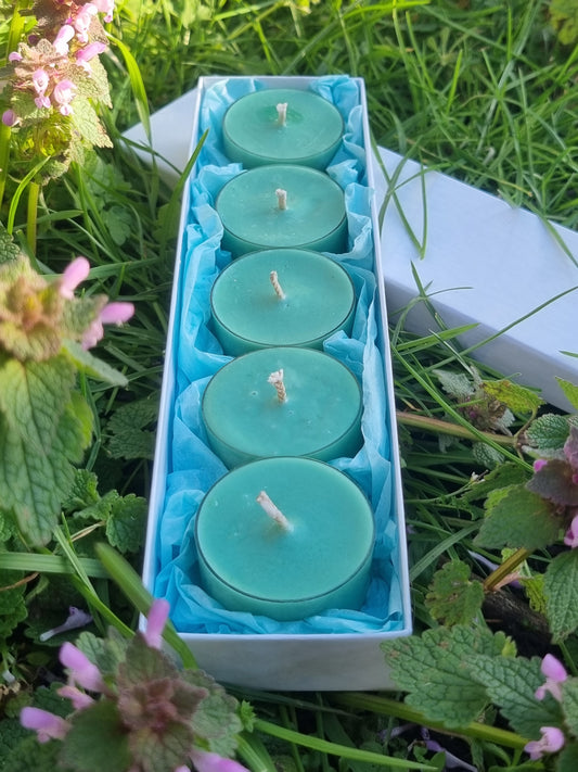 Luscious Lawn Tea Light Box