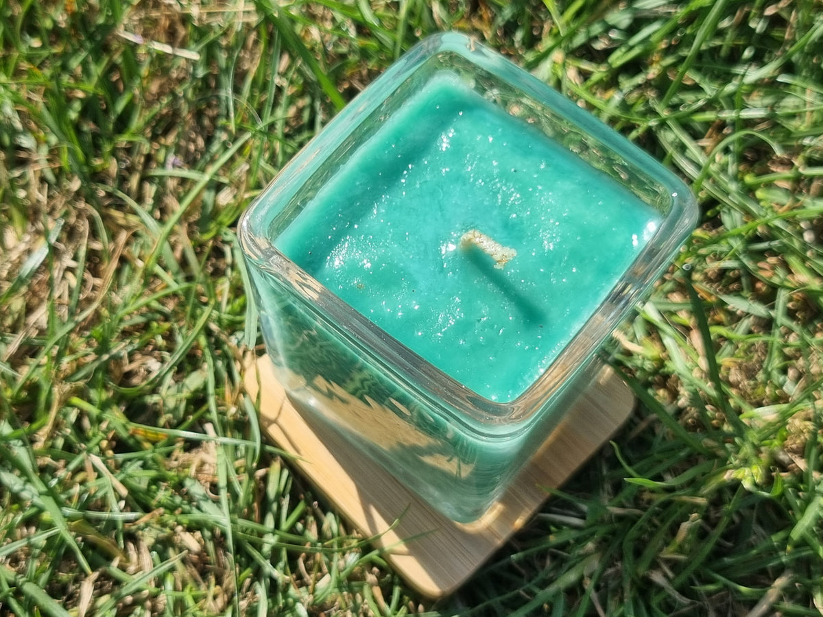 Timeless Tea Tree Little Candle